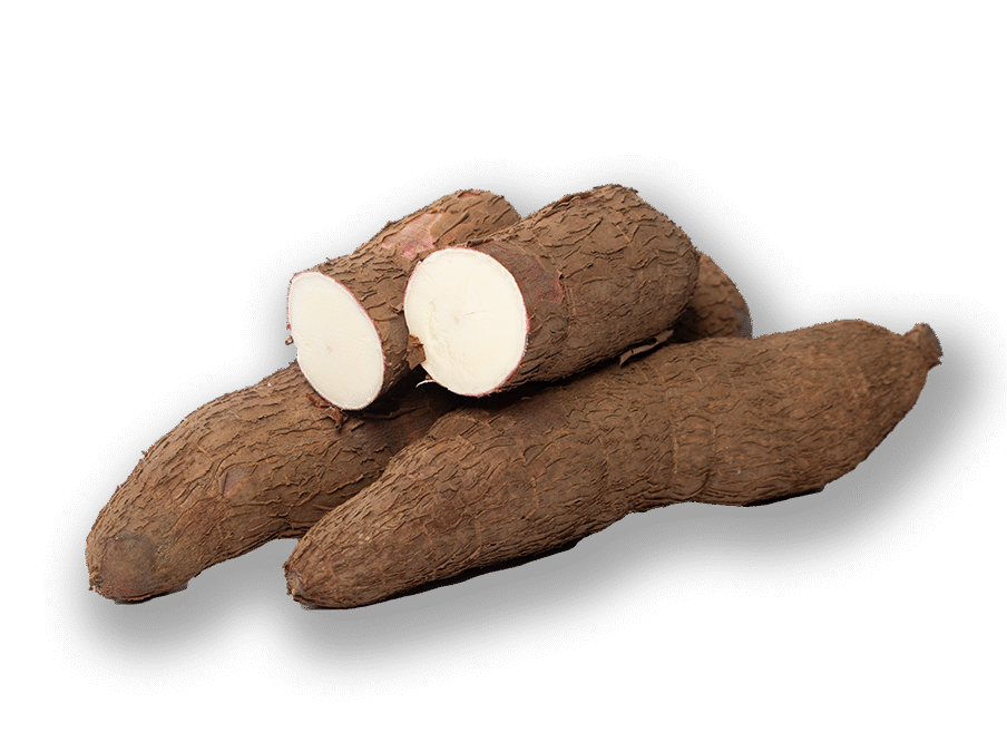 Cassava
