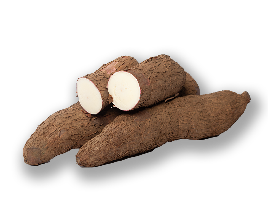 Cassava