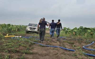 ¿Por qué eliminar intermediarios transforma la vida del productor?