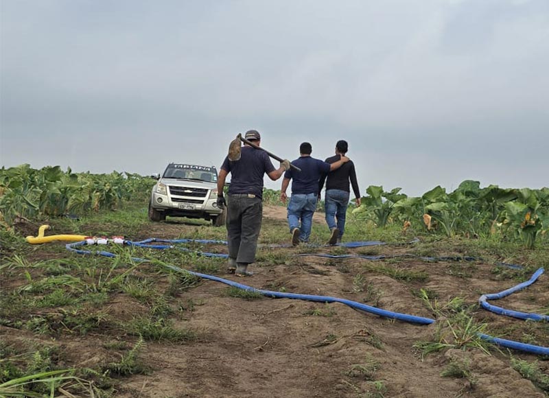 Dura jornada Agricultores vuelven a casa después de una dura jornada de trabajo.
