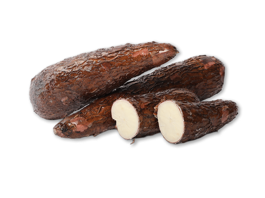Malanga