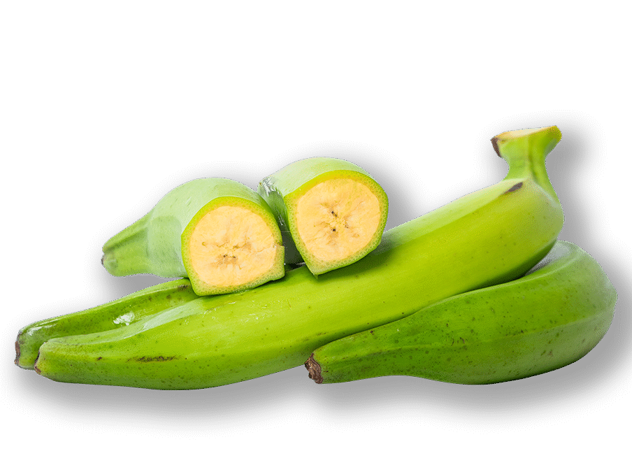 Plátano Macho