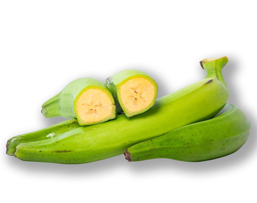 Plátano Macho