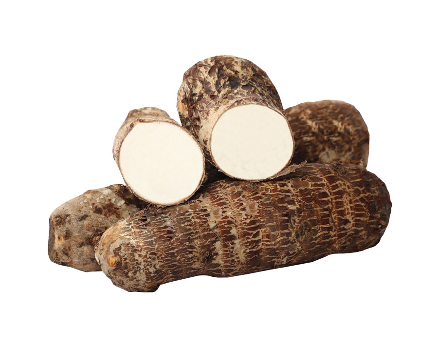 Malanga