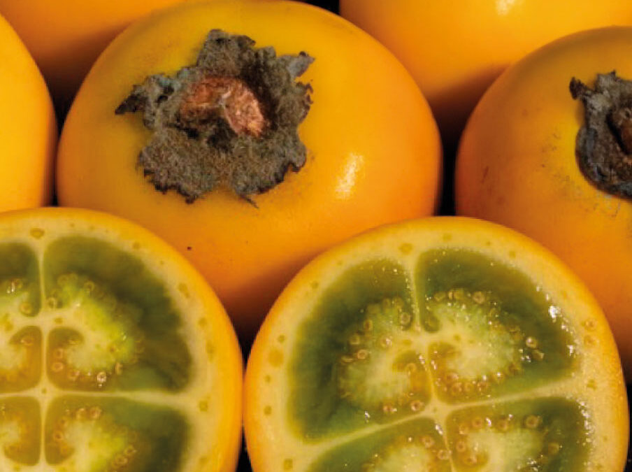 Naranjilla