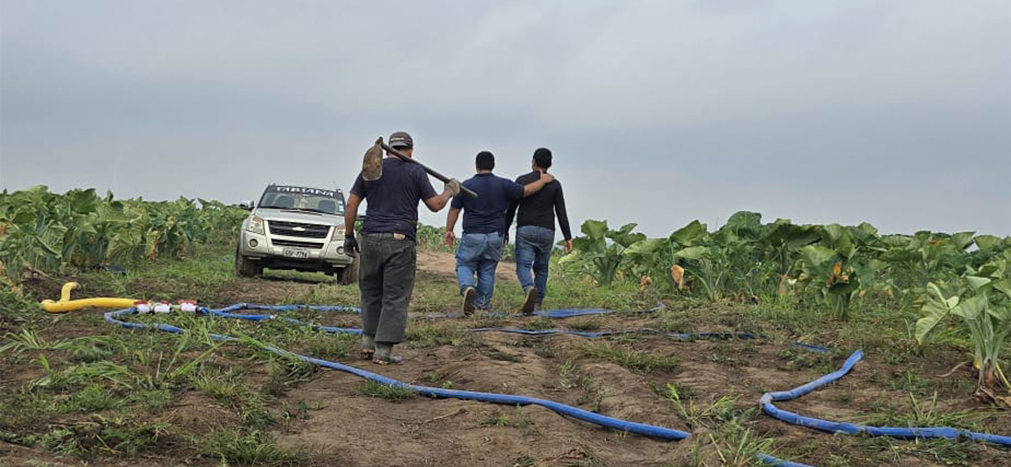 Agricultores Agricultores en Ecuador
