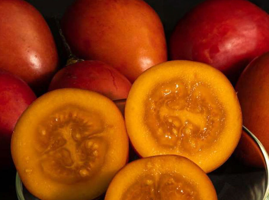Tomate de árbol