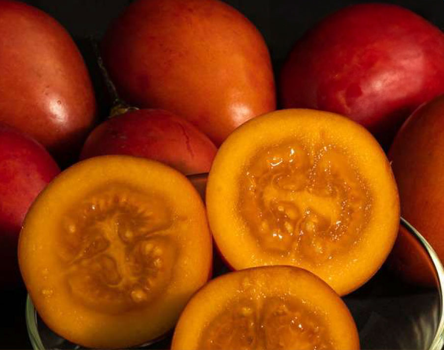 Tomate de árbol